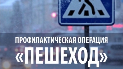 Госавтоинспекция  Альметьевска  начинает операцию «Пешеход»
