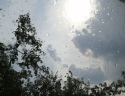Неделя в Татарстане начнется с небольших дождей и порывистого ветра